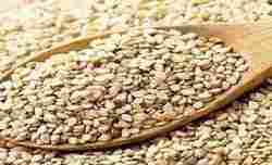 Natural Sesame Seeds 