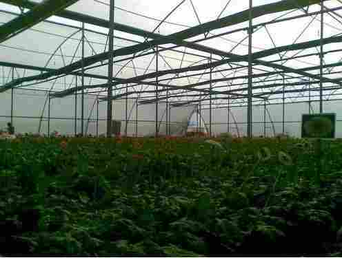 Greenhouse Structure