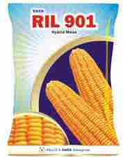 Ril 901 Hybrid Maize Seed