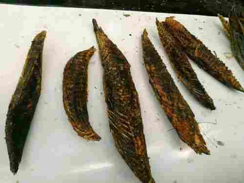 Tuna Dried Fish (Massi)