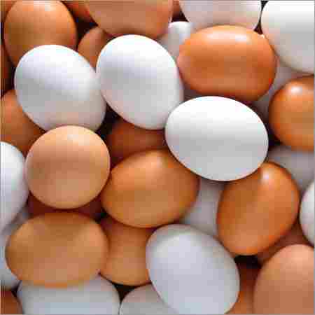 High Quality Brown Eggs