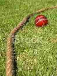 Cricket Ground Rope Jute