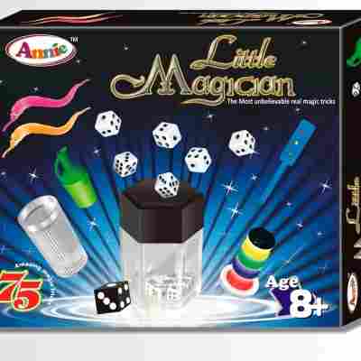 Little Magician Trick Kit