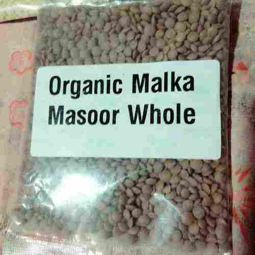 Organic Malka Masoor Whole