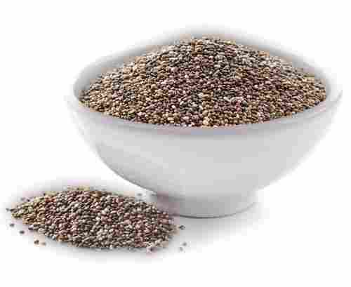 Organic and Conventional Black Chia