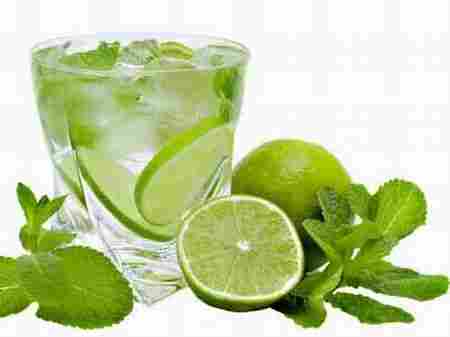 Fresh Seedless Lime - Lowest Price - High Quality