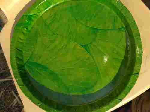 Green Paper Plate