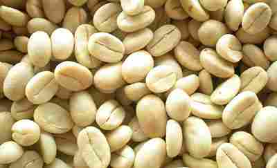 Arabica Coffee Beans Aaa