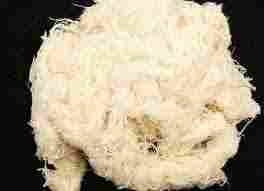 ELITE Cotton Yarn