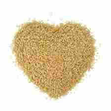 High Grade Rice Protein