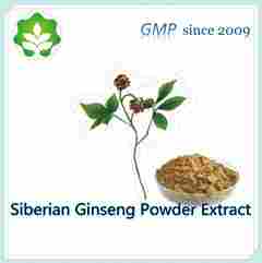 Siberian Ginseng Powder Extract