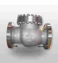 Industrial Use Check Valves