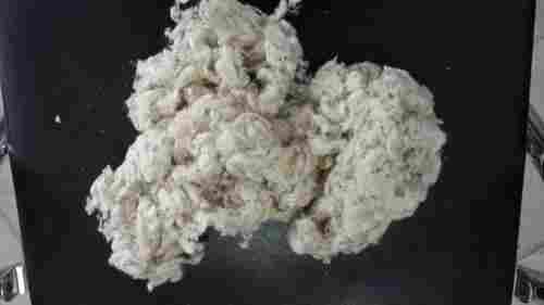 Clean Cotton Short Fiber (Willowed Waste)