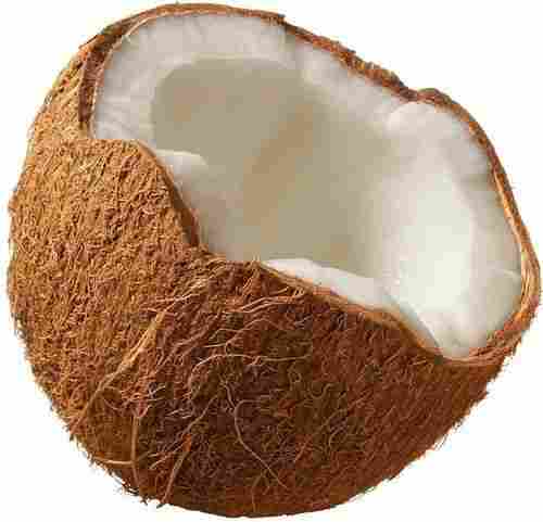 Dehusked Fresh Coconuts