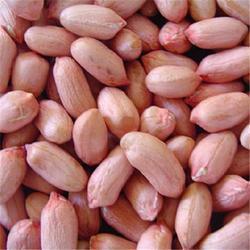Raw Peanut Kernels