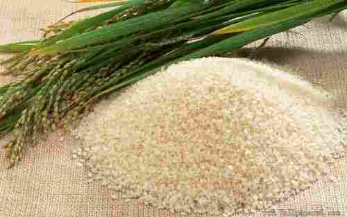 Long Or Short Grain White Rice