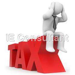 Service Tax Consultancy Service