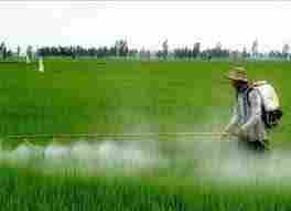 Agricultural Organic Insecticides