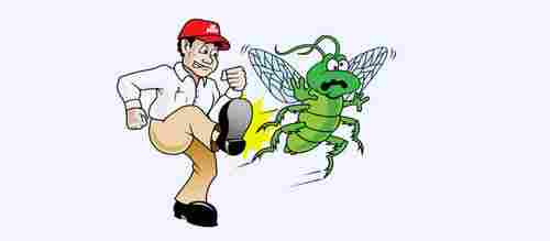 General House Hold Pest Management Service