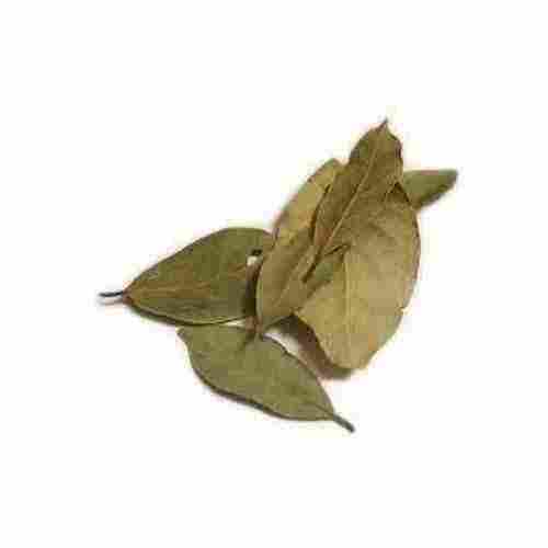 Organic Bay Leaf (Tej Patta)