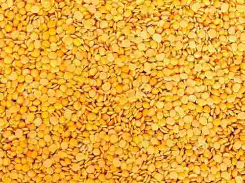 Yellow Nutritious Arhar Pulse