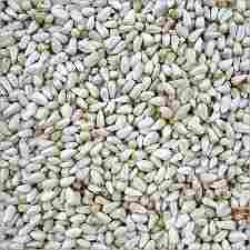 Premium Safflower Seeds