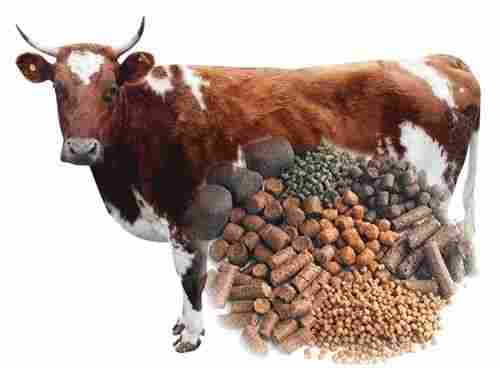 Nutritious Animal Cattle Feed