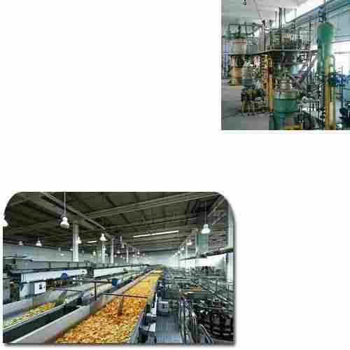 Edible Oil Plant for Food Industry 