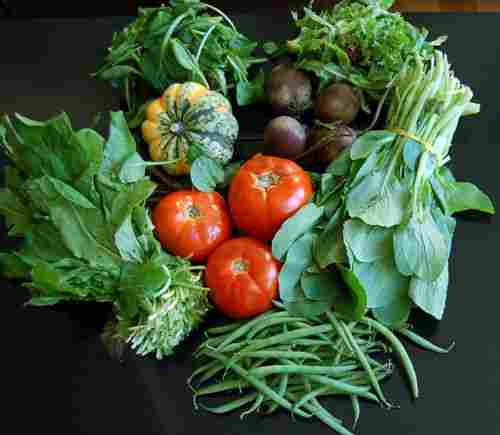 MyKheti Fresh Vegetables