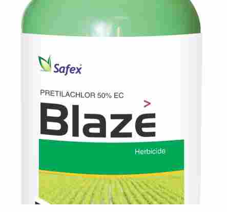 Blaze Herbicide