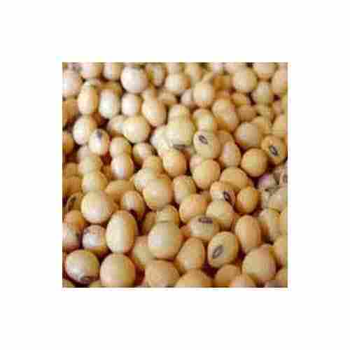 Natural Organic Soya Beans