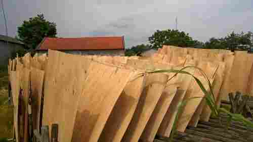 Eucalyptus Core Veneer for Manufacturing Plywood