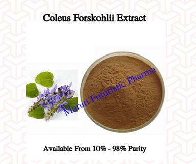 Brown Coleus Forshohlii Extract