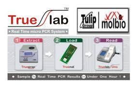 Micro PCR System