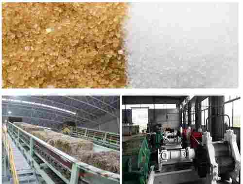 Sugarcane Processing Equipment