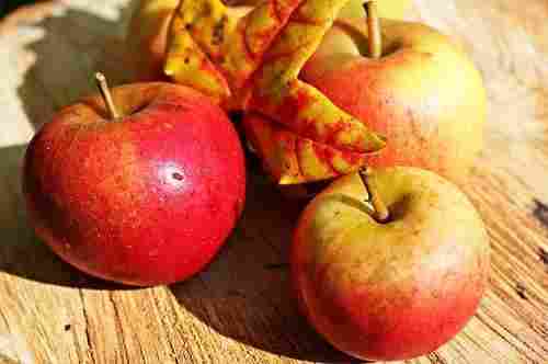 Apple Extract