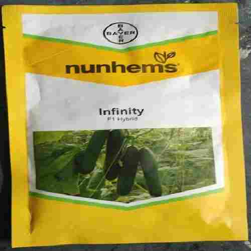 Nunhems Infinity F1 Cucumber Seeds