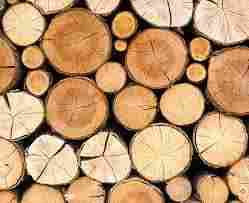 Teak Wood Timber