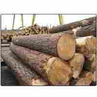 Neem Wood Log