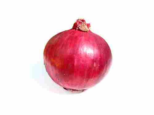 Fresh Red Onions