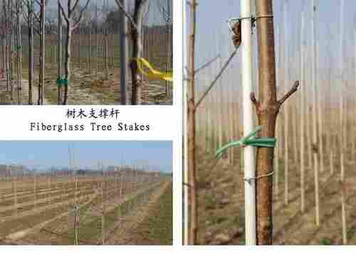 Fiberglass Tree Stake