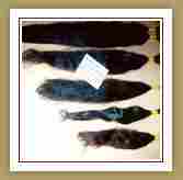 Remy Drawn Straight Human Hair Extension