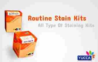 Routine Stain Kits