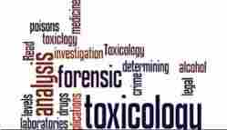 Toxicological Testing Laboratory Services