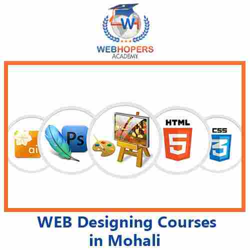 Web Designing Course in Mohali