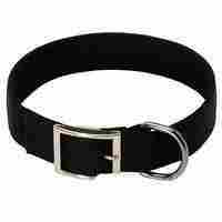 Dog Collar