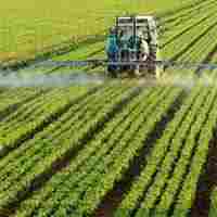 Agrochemicals & Pesticide