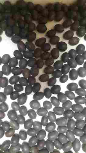 Black Lotus Seeds