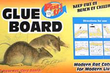 Mice Pest-Off Glue Boards
