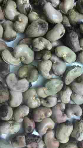 Raw Cashew Nuts